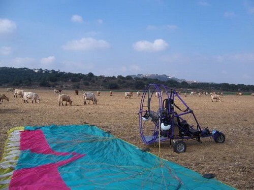 אקסטרים באוויר